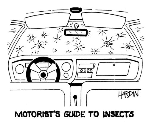 'Motorist's Guide To Insects.'