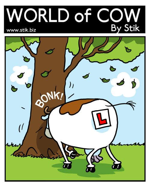 Learner cow.