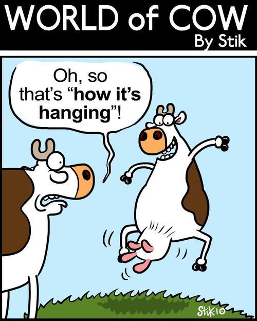 Oh, so that's 'how it's hanging'!