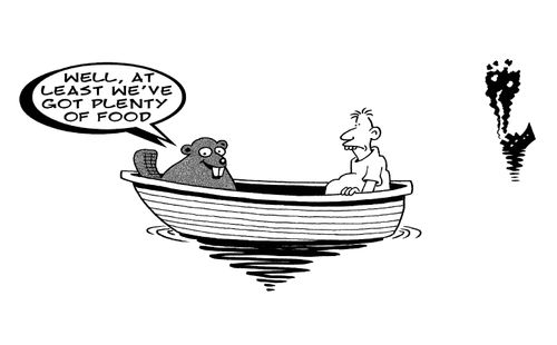 Beaver stranded in a boat looks on the bright side...'Well, at least we've got plenty of food.'