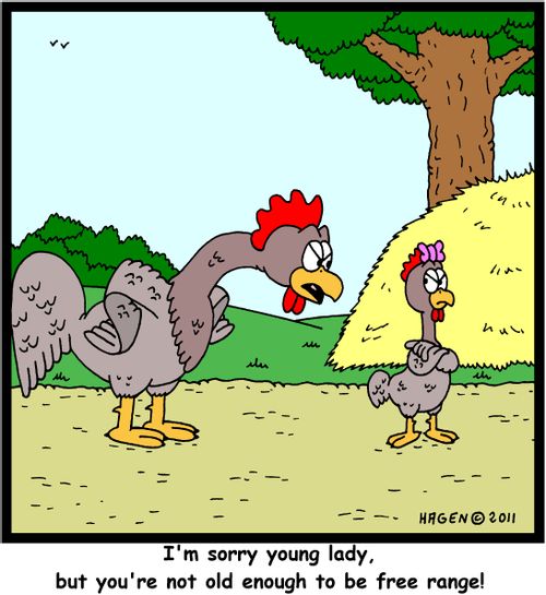 'I'm sorry young lady, but you're not old enough to be free range!'
