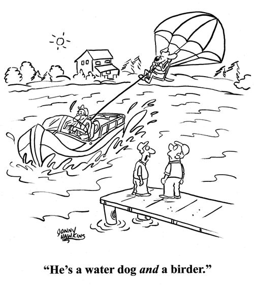 Man about dog parasailing: 'He's a water dog and a birder.'
