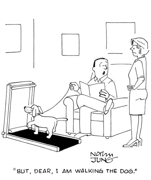 'But, dear, I am walking the dog.'