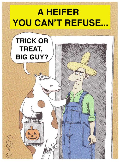 A heifer you can't refuse,...