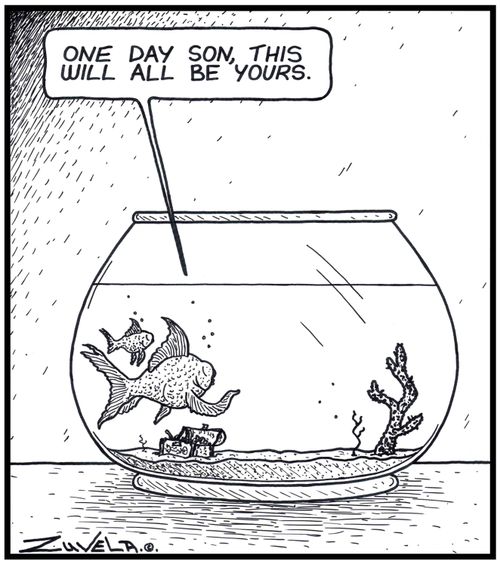 Father Goldfish: 'One day Son, this will all be yours.'