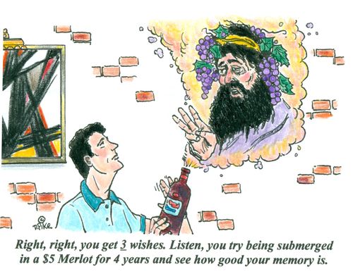 'Right, right, you get 3 wishes. Listen, you try being submerged in a $5 merlot for 4 years and see how good your memory is.'