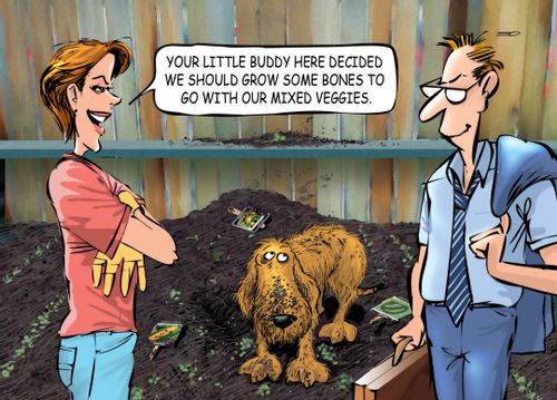 'Your little buddy here decided we should grow some bones to go with our mixed veggies.'