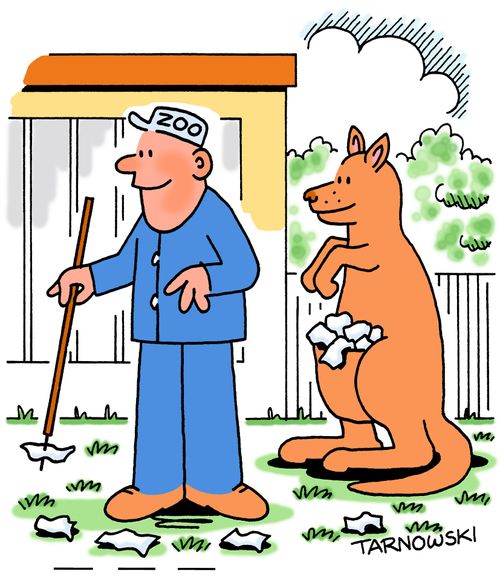 Kangaroo helping pick up litter.