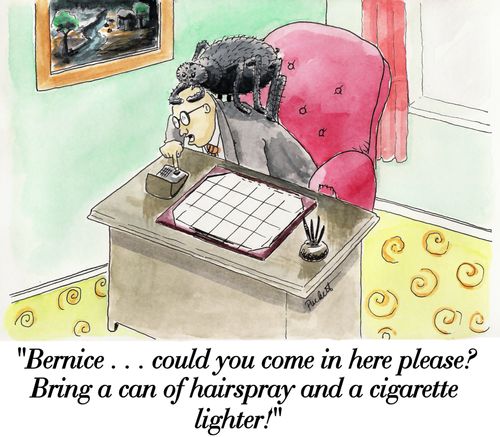 'Bernice . . . could you come in here please? Bring a can of hairspray and a cigarette lighter!'
