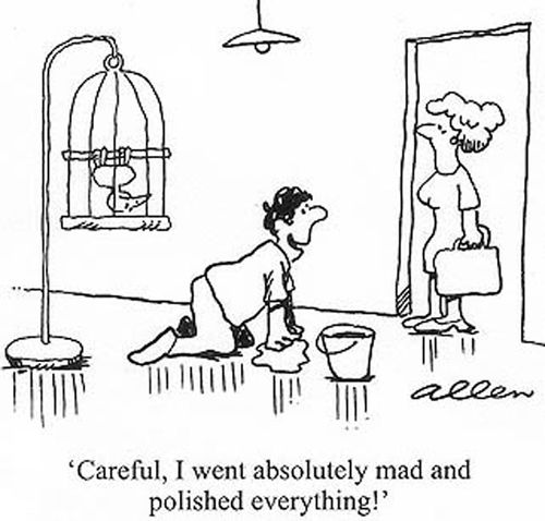 'Careful, I went absolutely mad and polished everything.'