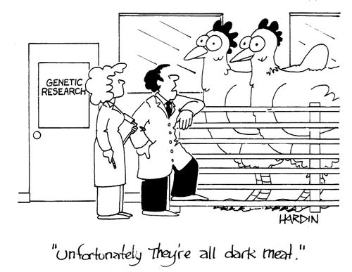 'Unfotunately they're all dark meat.'