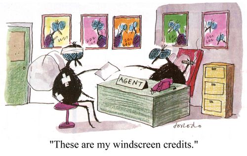 "These are my windscreen credits."