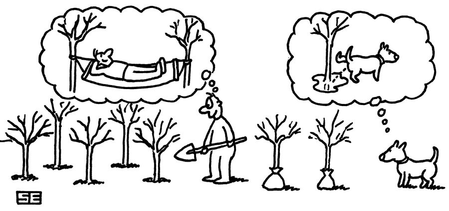 Trees
