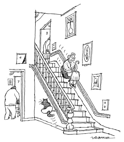 Old cat with its own stair lift