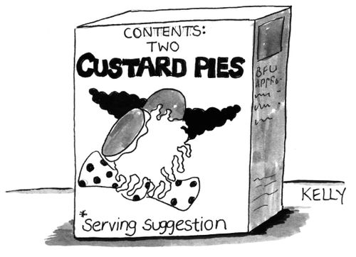 Custard Pies - Serving Suggestion