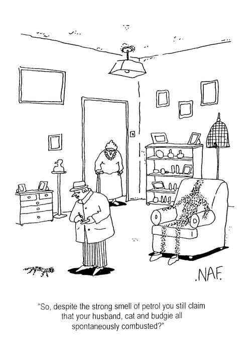 "So despite the strong smell of petrol you still claim that your husband, cat and budgie all spontaneously combusted?"