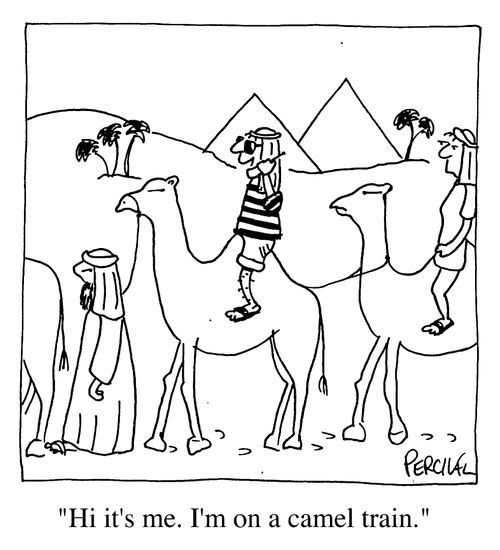 "Hi it's me. I'm on a camel train."