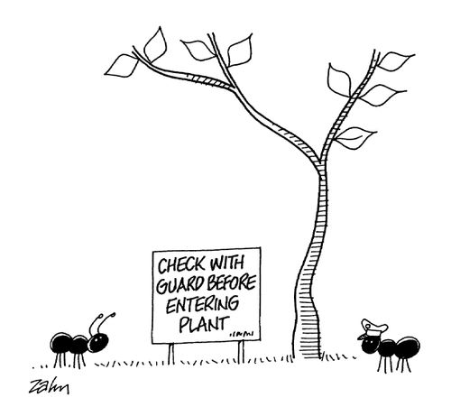 Check with guard before entering plant.