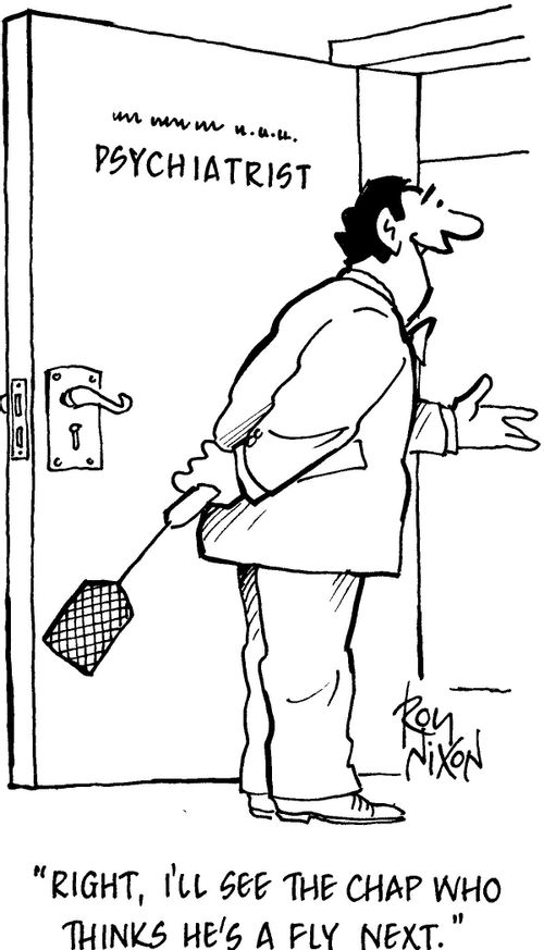 'Right, I'll see the chap who thinks he's a fly next.'