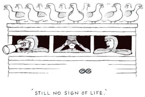 'Still no sign of life.'