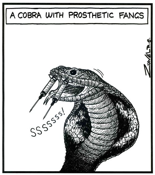 A Cobra with prosthetic fangs.