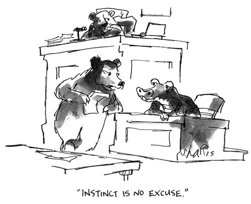 'Instinct is no excuse.'