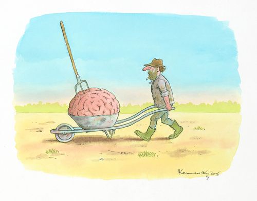 Brain Ache.