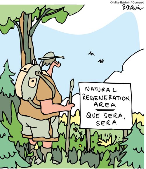 Natural Regeneration Area / Que Sera Sera.