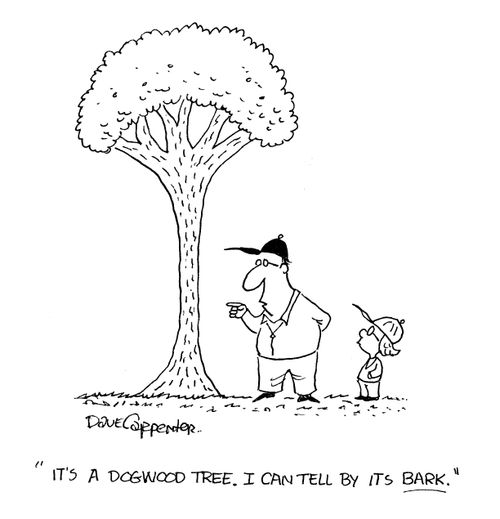 'Its a dogwood tree. I can tell by its bark.'