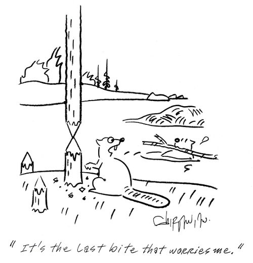 'it's the last bite that worries me.'