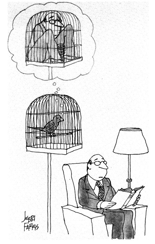 Bird in a cage dreams about a man in a cage.