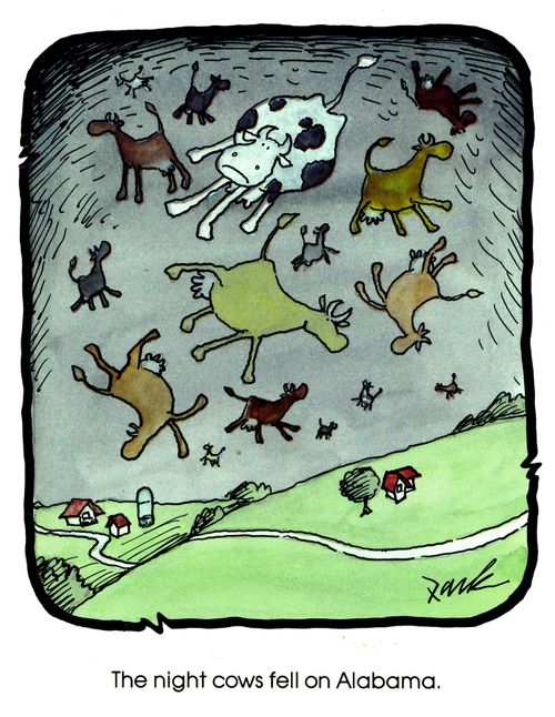 The night cows fell on Alabama.