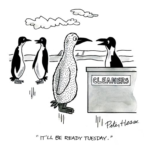 'It'll be ready Tuesday.'