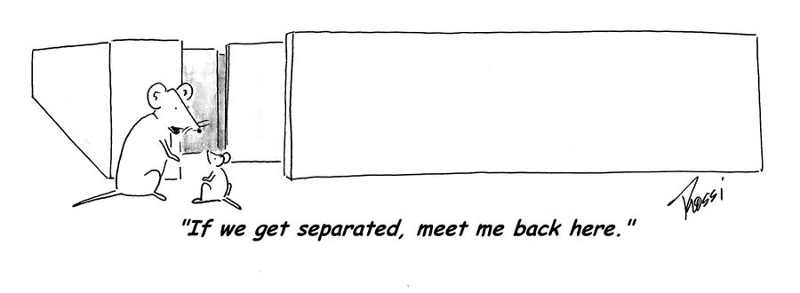 'If we get separated, meet me back here.'