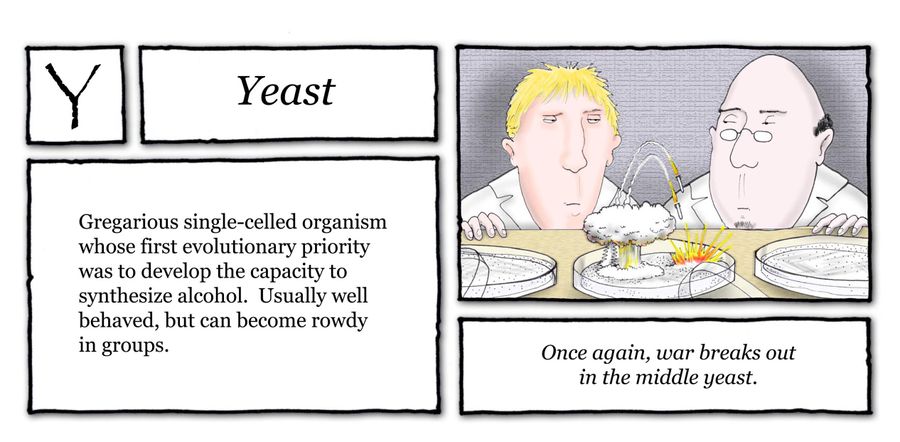 Yeast: Gregarious single-celled organism whose first evolutionary priority was to develop the capacity to synthesize alcohol. Usually well behaved, but can become rowdy in groups.