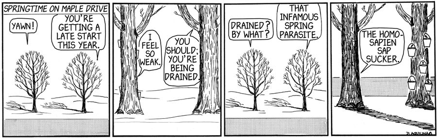 Springtime on Maple Drive...