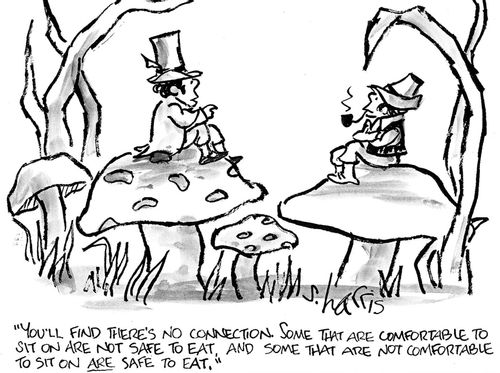 'You'll find there's no connection.  Some that are comfortable to sit on are not safe to eat, and some that are not comfortable to sit on are safe to eat.'