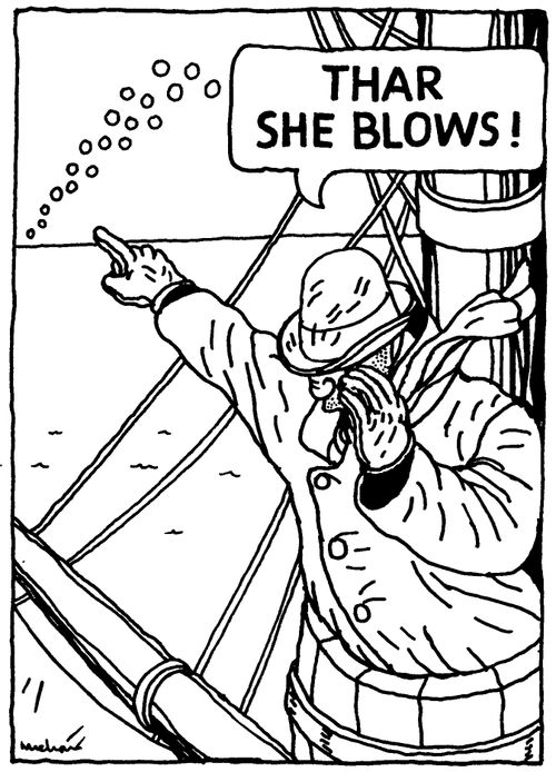 'Thar she blows!'