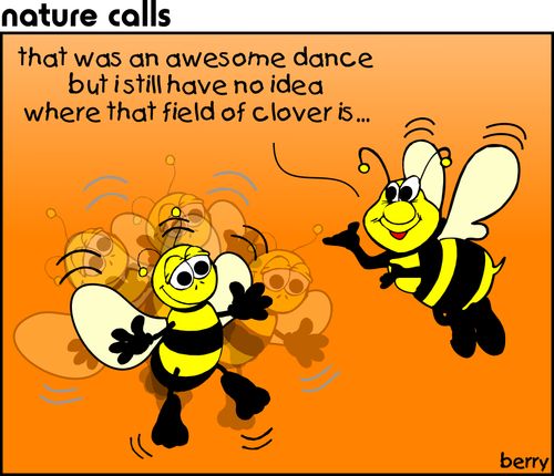 That was an awesome dance, but I still have no idea where that field of clover is...