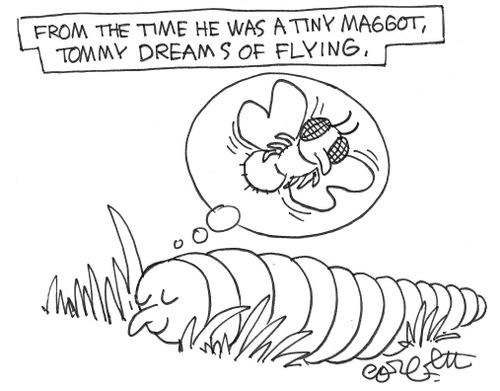 From the time he was a tiny maggot, tommy dreams of flying .