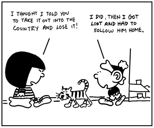 'I thought I told you to take it out into the country and lose it.'