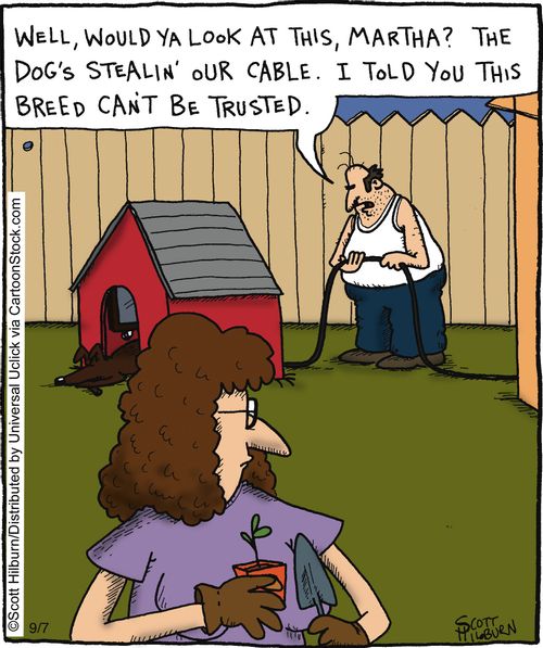 'Well, would ya look at this, Martha? The dog's stealin' our cable. I told you this breed can't be trusted.'