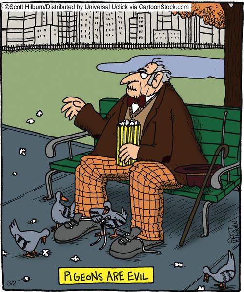 Pigeons are evil,