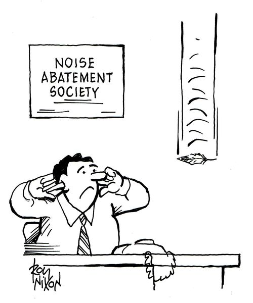 Noise Abatement Society 