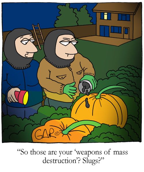 So those are your 'weapons of mass destruction? - Slugs?