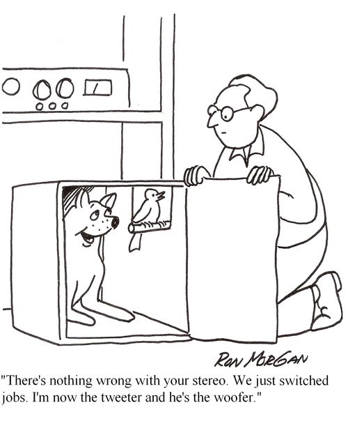 "There's nothing wrong with your stereo. We just switched jobs. I'm now the tweeter and he's the woofer."