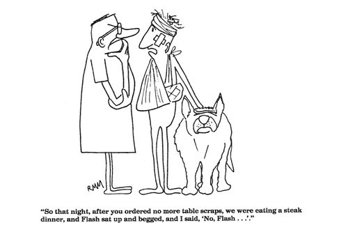 'So that night, after you ordered no more table scraps...