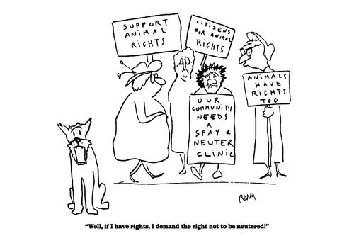 'Well, if I have rights, I demand the right not to be neutered!'