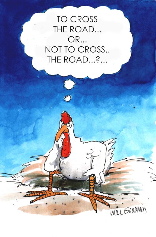 'To cross the road or not to cross the road'