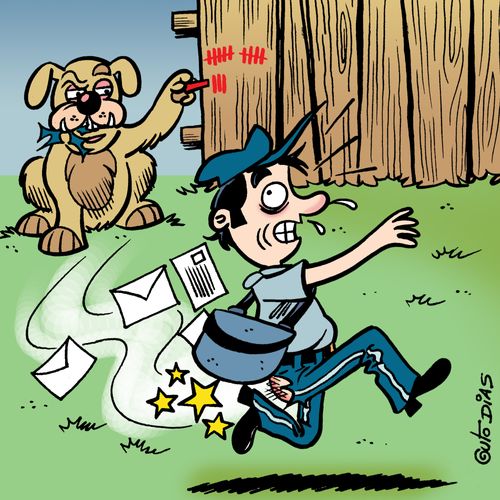 Dog's game 